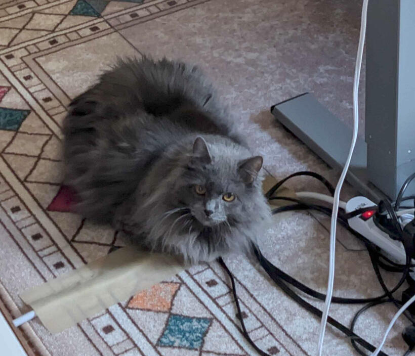 Poofy Desk Poofy Desk