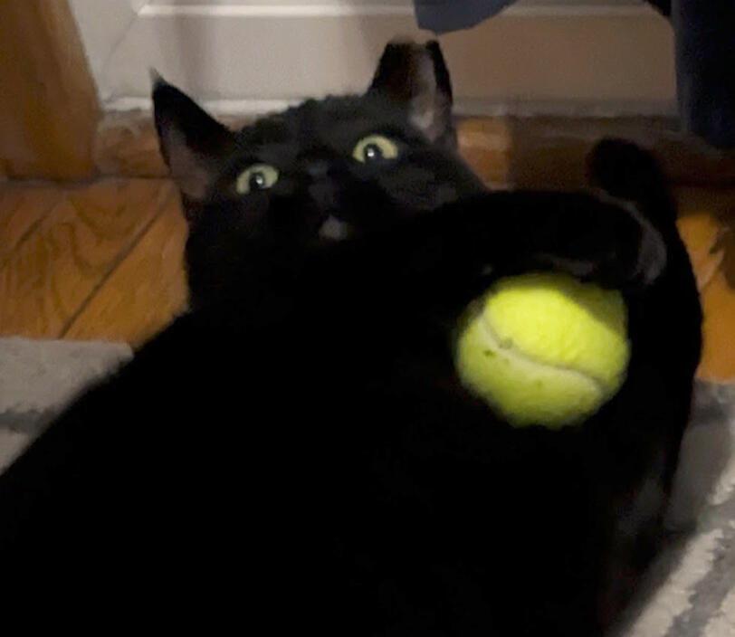 Pondering the Orb Pondering the Orb